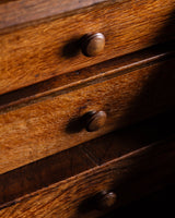 19th Century Danish Oak 2 Piece Secretary Cabinet - Lone Fox