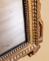 19th Century French Louis XVI Style Giltwood Trumeau Mirror - Lone Fox
