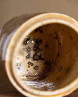 19th Century Marbleized Terracotta Storage Jar 9, Grottaglie, Italy - Lone Fox