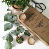 Terracotta Beeswax Tea Light Candles (10)
