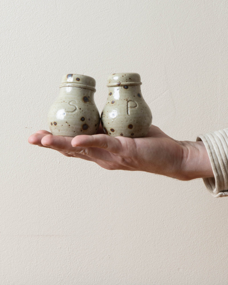 French Speckled Studio Salt and Pepper Shakers