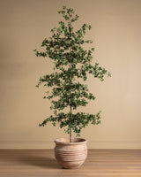 6-8ft Shady Lady Faux Olive Tree w/ Real Wood Trunk - Lone Fox