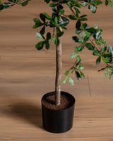 6-8ft Shady Lady Faux Olive Tree w/ Real Wood Trunk - Lone Fox