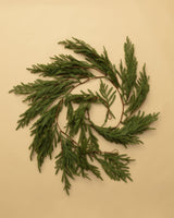 72"L Faux Drooping Cypress Garland - Lone Fox