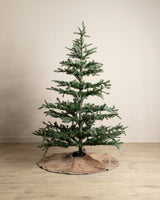 Vintage Turkish Kilim Tree Skirt #03