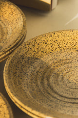 Set of 4 French Stoneware Plates
