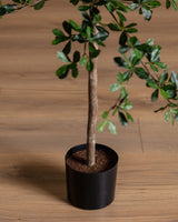 6-8ft Shady Lady Faux Olive Tree w/ Real Wood Trunk