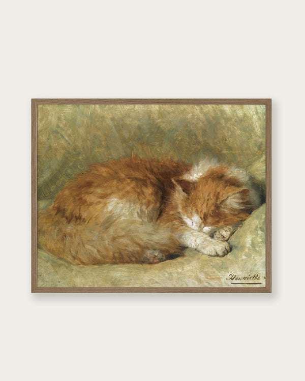 "A Sleeping Cat" Art Print - Lone Fox