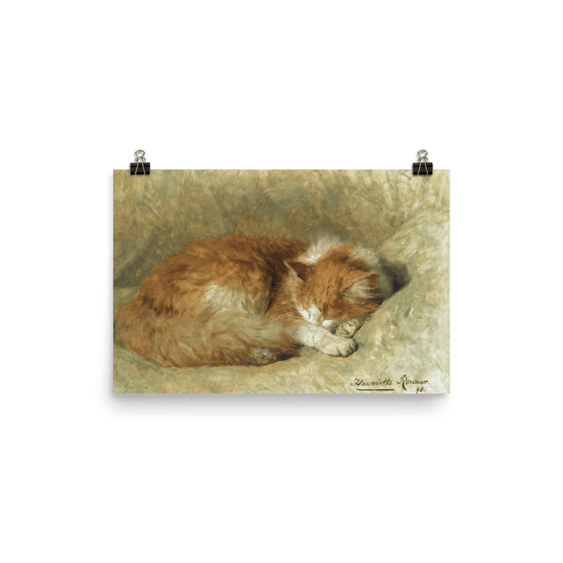 "A Sleeping Cat" Art Print - Lone Fox