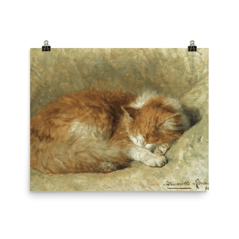 "A Sleeping Cat" Art Print - Lone Fox