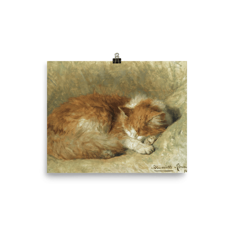 "A Sleeping Cat" Art Print - Lone Fox