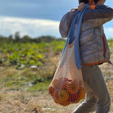 French market bag: French blue/wheat