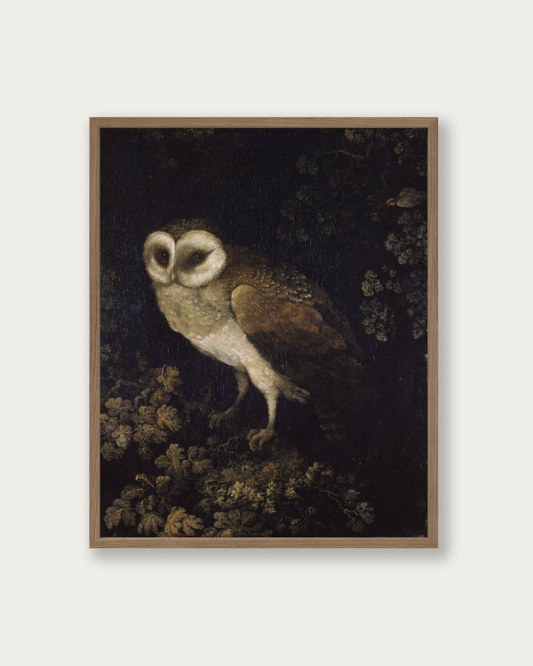 "An Owl" Art Print - Lone Fox