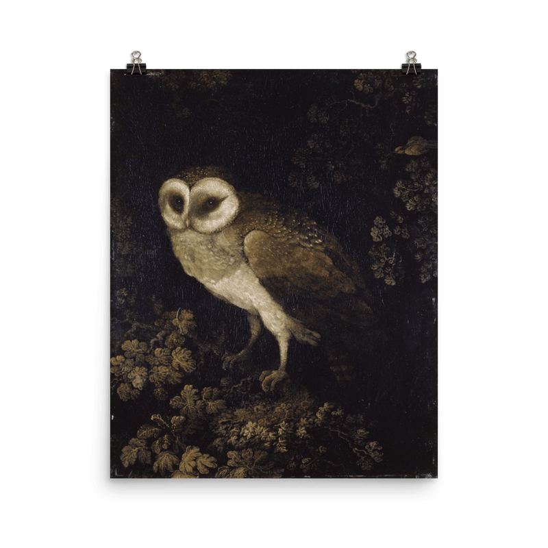 "An Owl" Art Print - Lone Fox