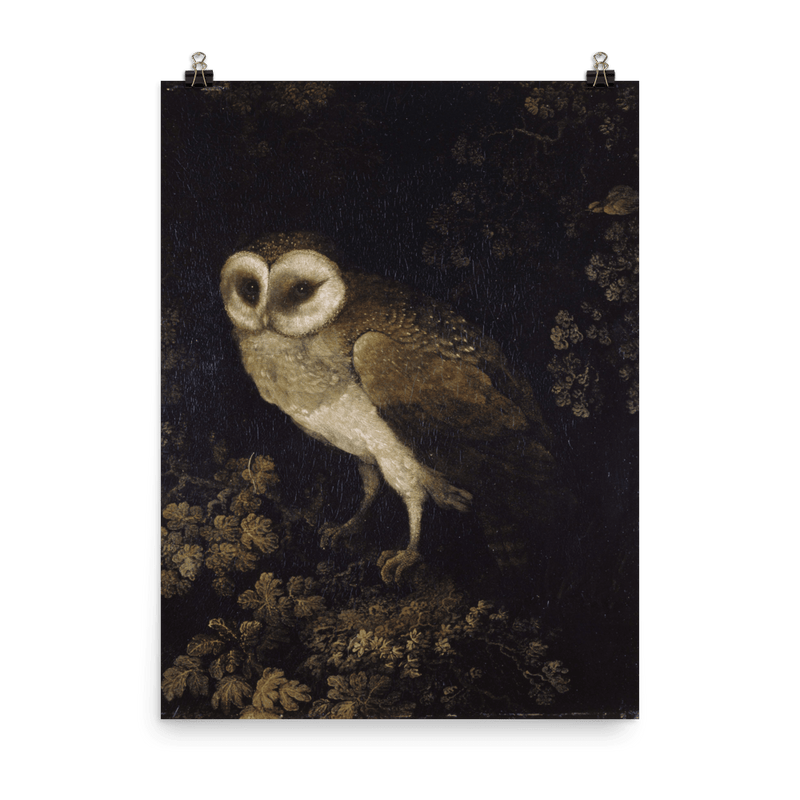 "An Owl" Art Print - Lone Fox