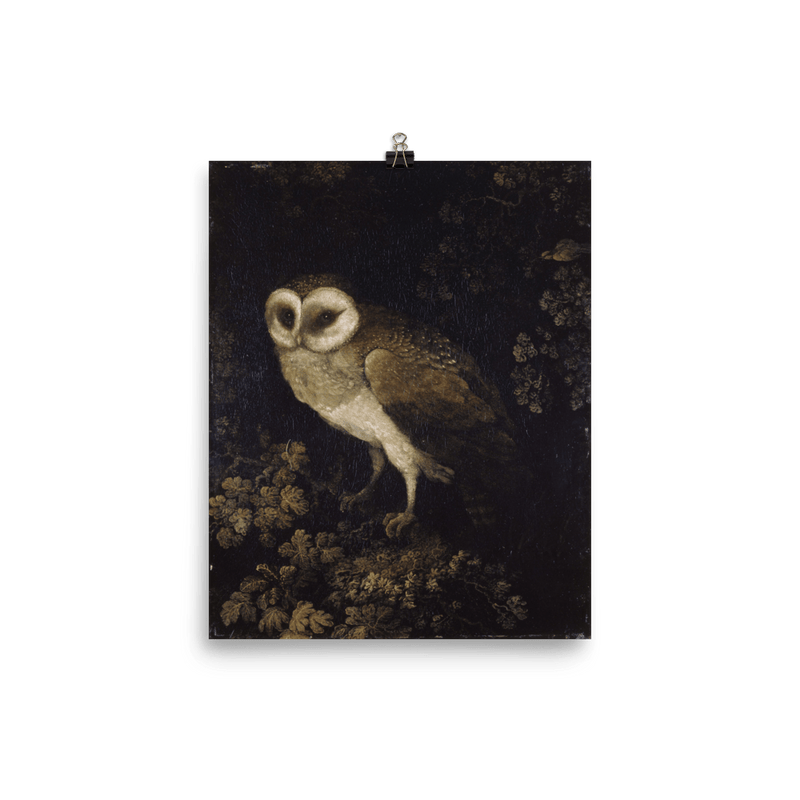 "An Owl" Art Print - Lone Fox