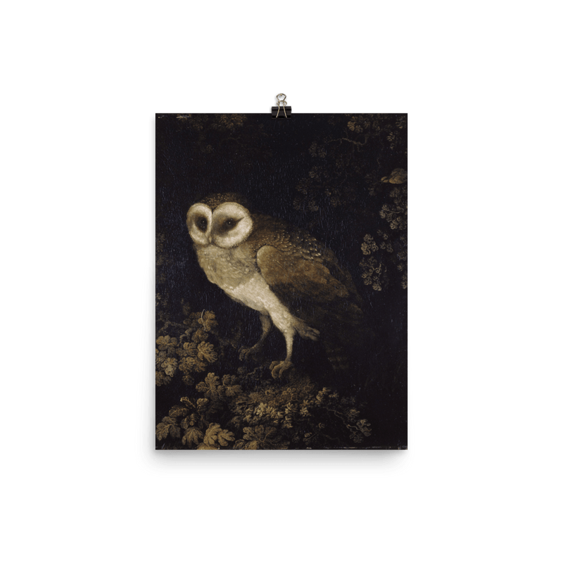 "An Owl" Art Print - Lone Fox