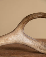 Antler Bottle Opener, American, 1960's - Lone Fox