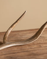 Antler Bottle Opener, American, 1960's - Lone Fox