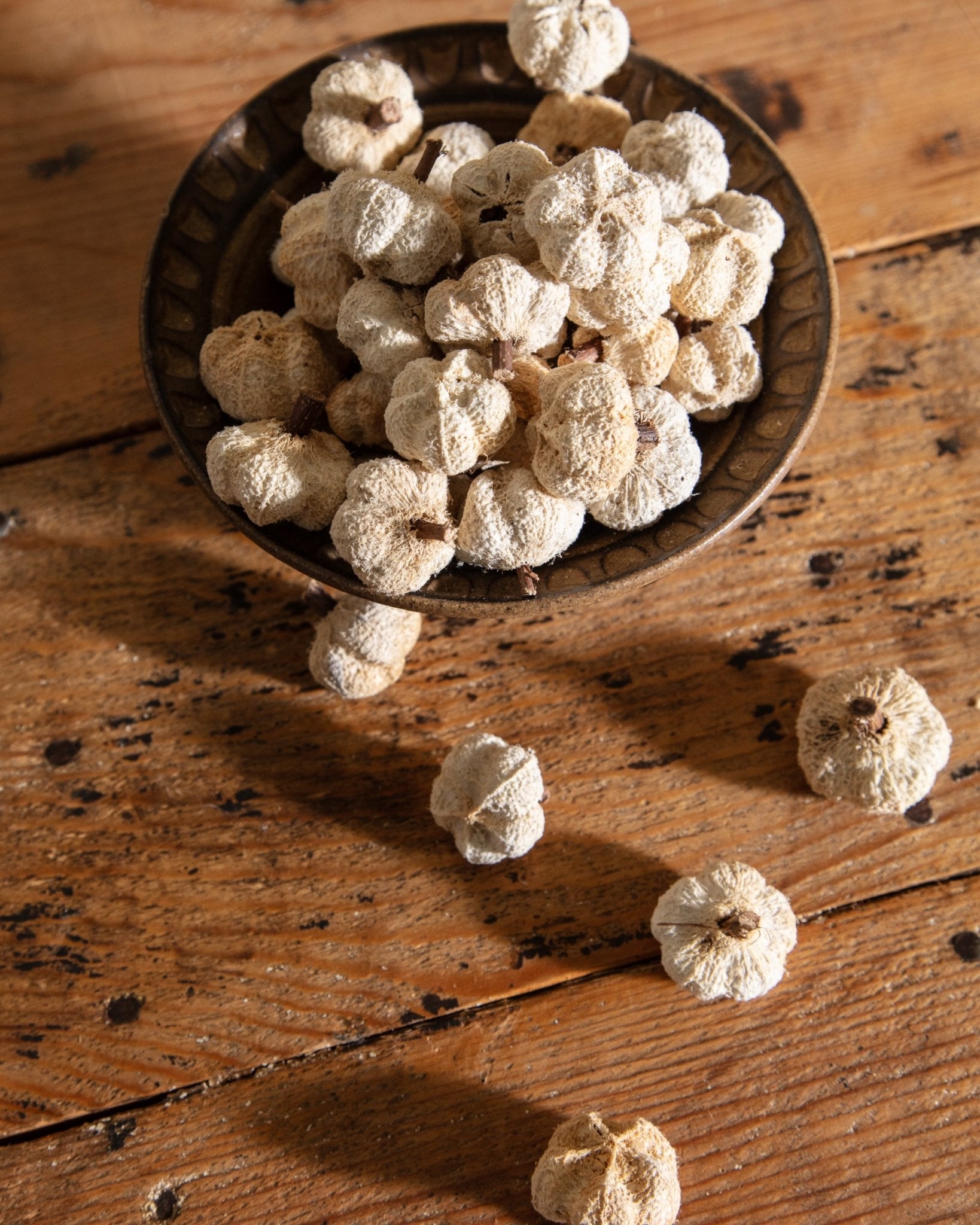 Bag of Dried Mini Pumpkins - Lone Fox
