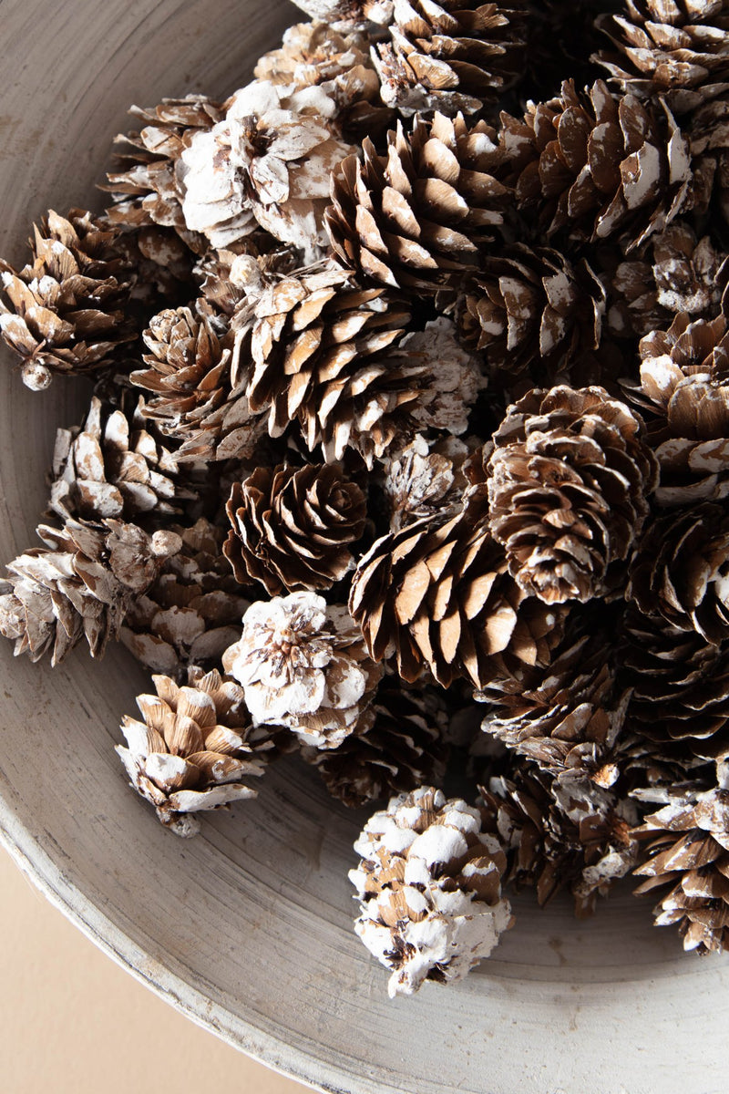 Bag of Dried Natural Pinecones - Lone Fox