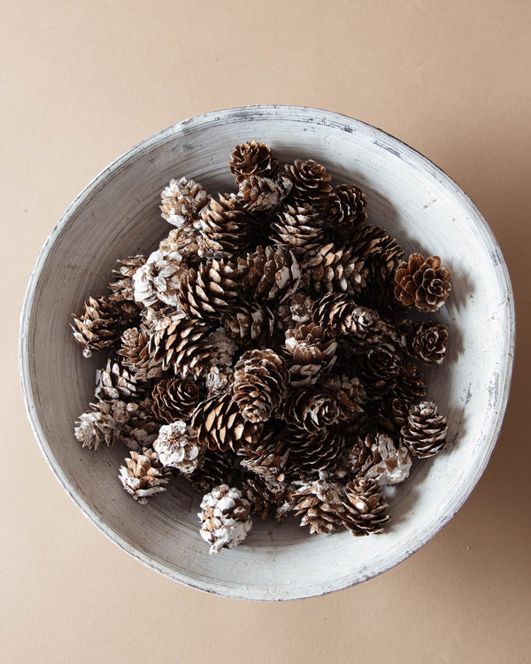 Bag of Dried Natural Pinecones - Lone Fox