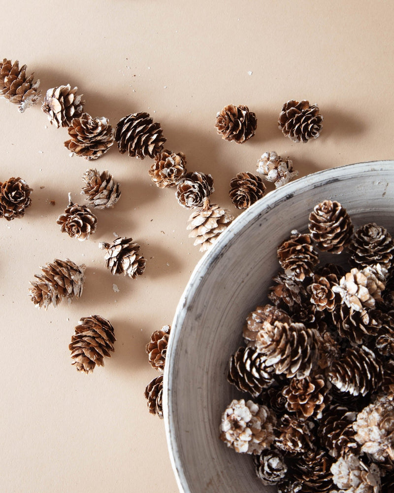 Bag of Dried Natural Pinecones - Lone Fox