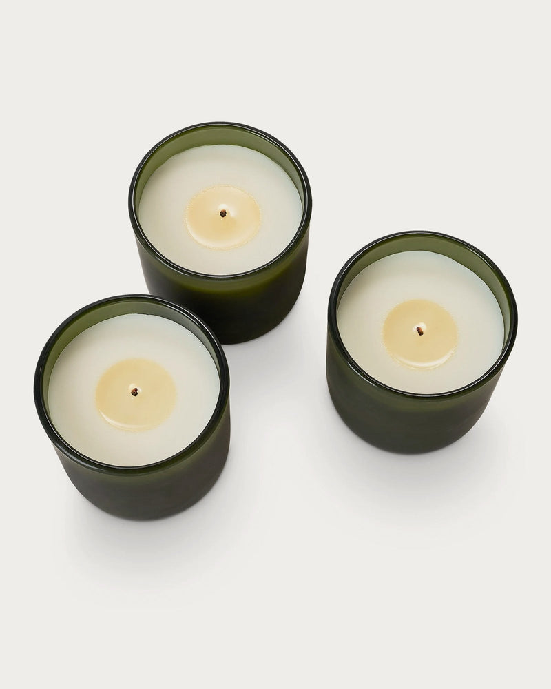 Balsam & Cedar Candle Trio Gift Set - Lone Fox