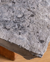 Belgian Bluestone & Oak Coffee Table, 1970's (2 Available) - Lone Fox