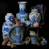 Bird and Flower Blue and White Porcelain Temple Jar - Lone Fox