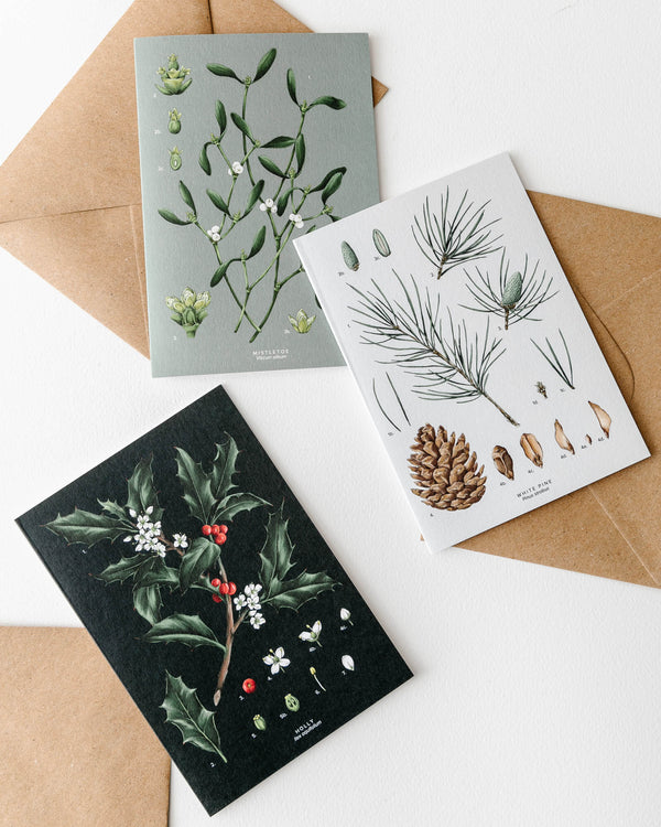 Botanical Christmas Cards (Box of 8) - Lone Fox