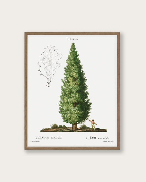 "Boy and Tree" Art Print - Lone Fox