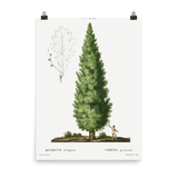 "Boy and Tree" Art Print - Lone Fox