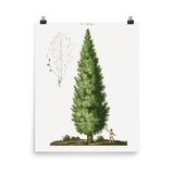 "Boy and Tree" Art Print - Lone Fox