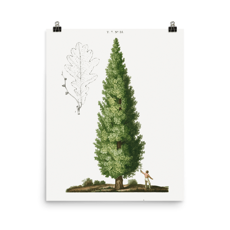 "Boy and Tree" Art Print - Lone Fox