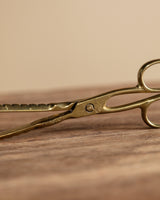 Brass Fireplace Coal Tongs - Lone Fox