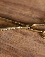 Brass Fireplace Coal Tongs - Lone Fox