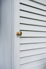 Brass Knobs (L) - Lone Fox
