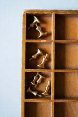 Brass Knobs Oval (L) - Lone Fox