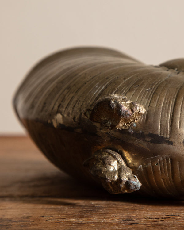 Brass Nautilus Seashell Footed Bowl, 1950's - Lone Fox