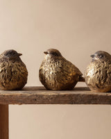 Burnished Gold Resin Bird Sculptures (Set of 3) - Lone Fox