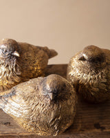 Burnished Gold Resin Bird Sculptures (Set of 3) - Lone Fox