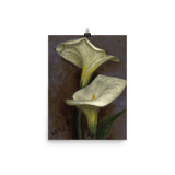 "Calla Lilies" Art Print - Lone Fox
