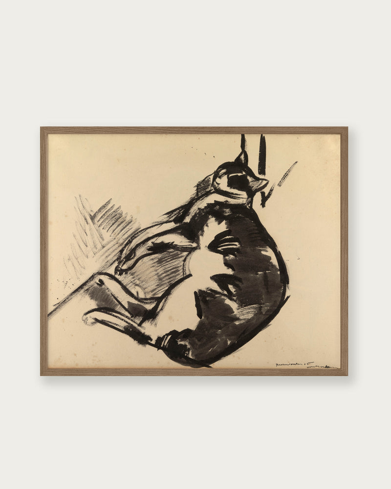 "Cat Lying" Art Print - Lone Fox