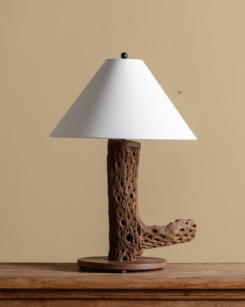 Cholla Cactus Wood Table Lamp – Lone Fox