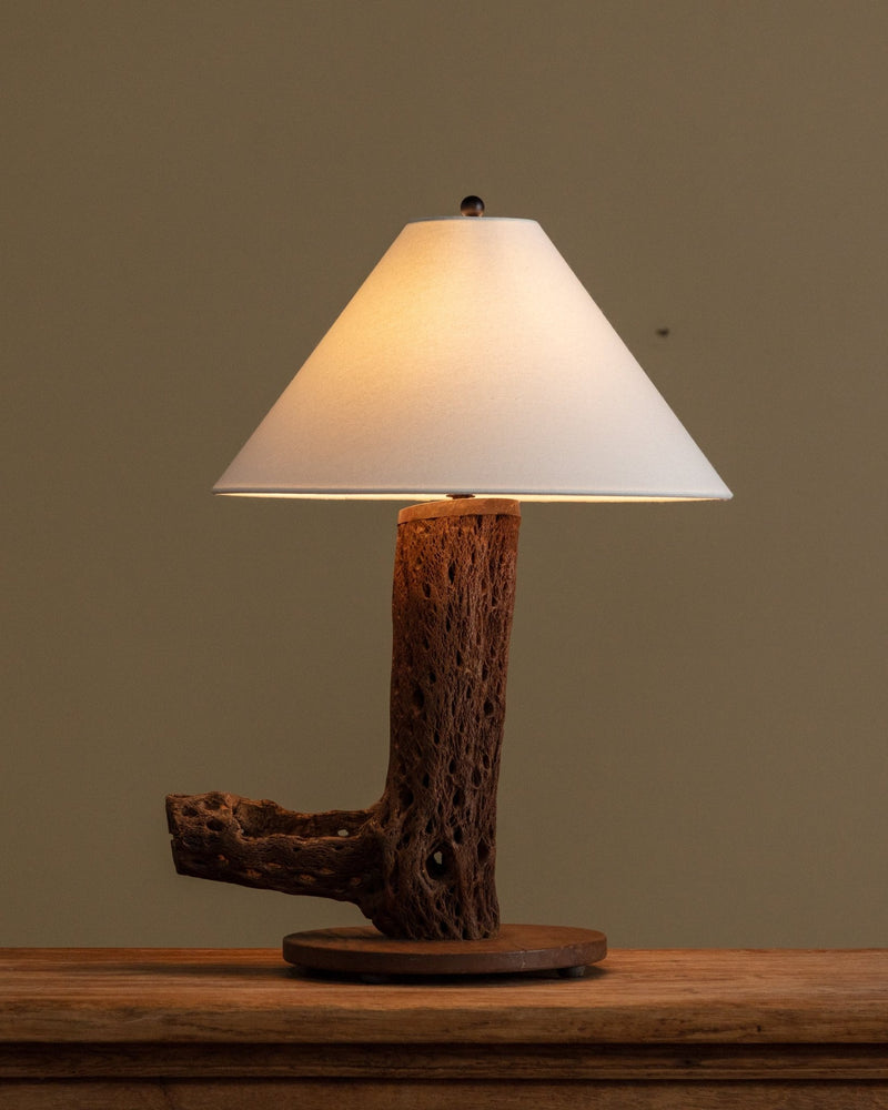ザクロの古木インテリアライト Cholla Cactus Wood Table Lamp – Lone Fox