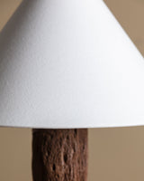 Cholla Cactus Wood Table Lamp - Lone Fox