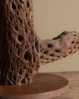 Cholla Cactus Wood Table Lamp - Lone Fox