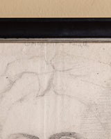 Classical Bust Pencil Sketch in Black Frame - Lone Fox