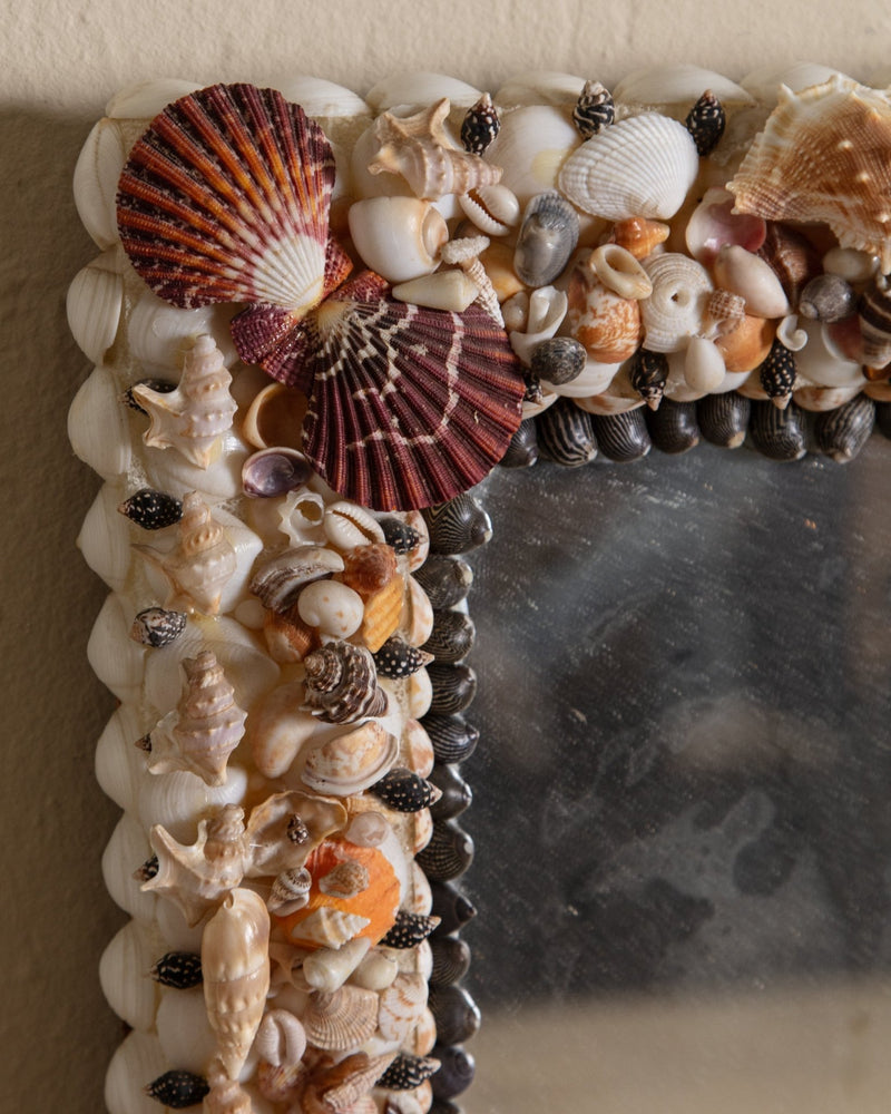 Collected Shell Wall Mirror - Lone Fox